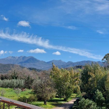 Agriturismo La Petrosa Ceraso المظهر الخارجي الصورة