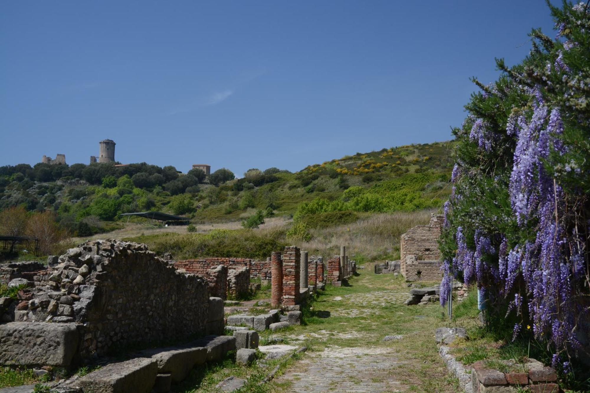 Agriturismo La Petrosa Ceraso المظهر الخارجي الصورة