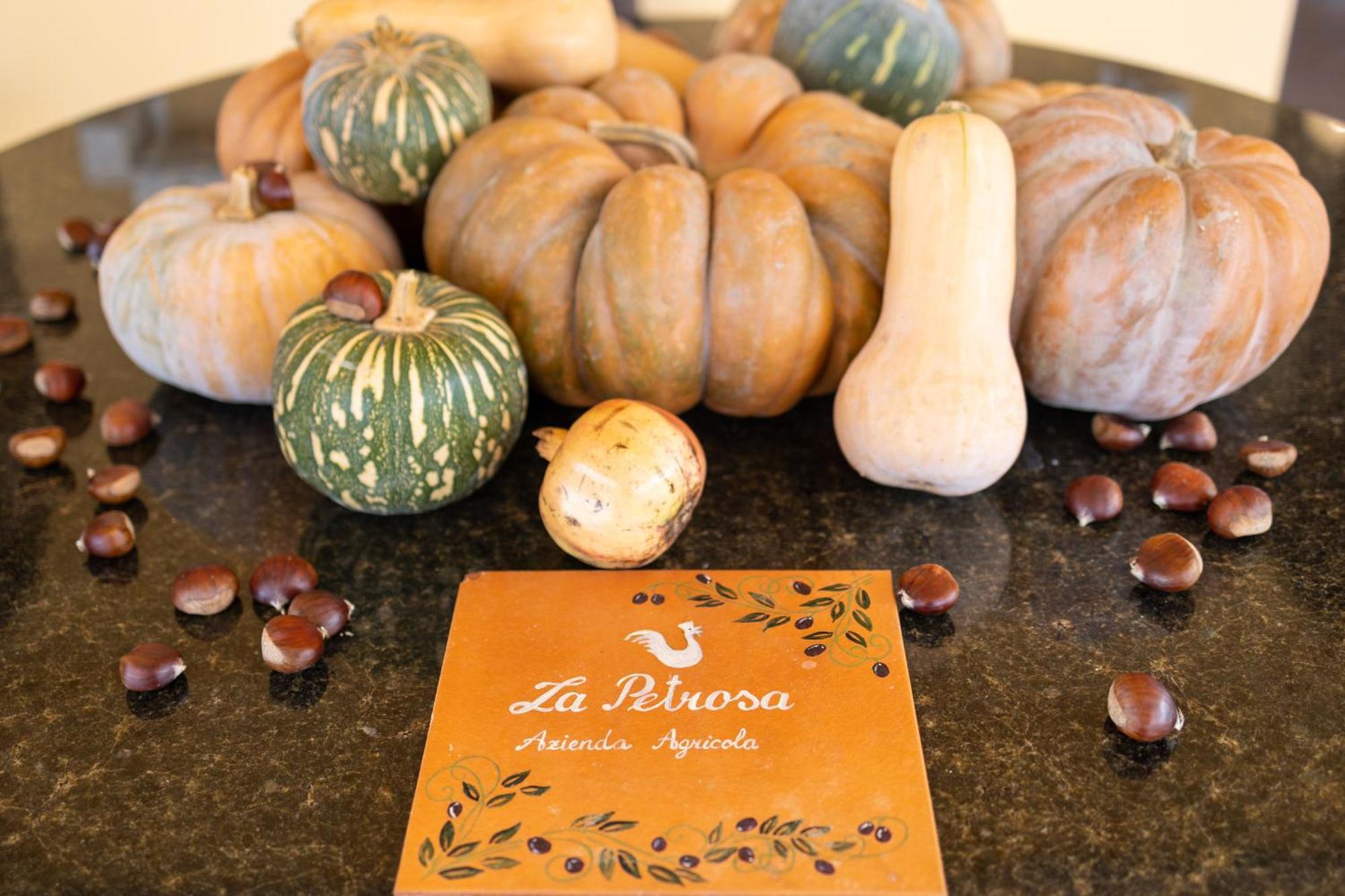 Agriturismo La Petrosa Ceraso المظهر الخارجي الصورة