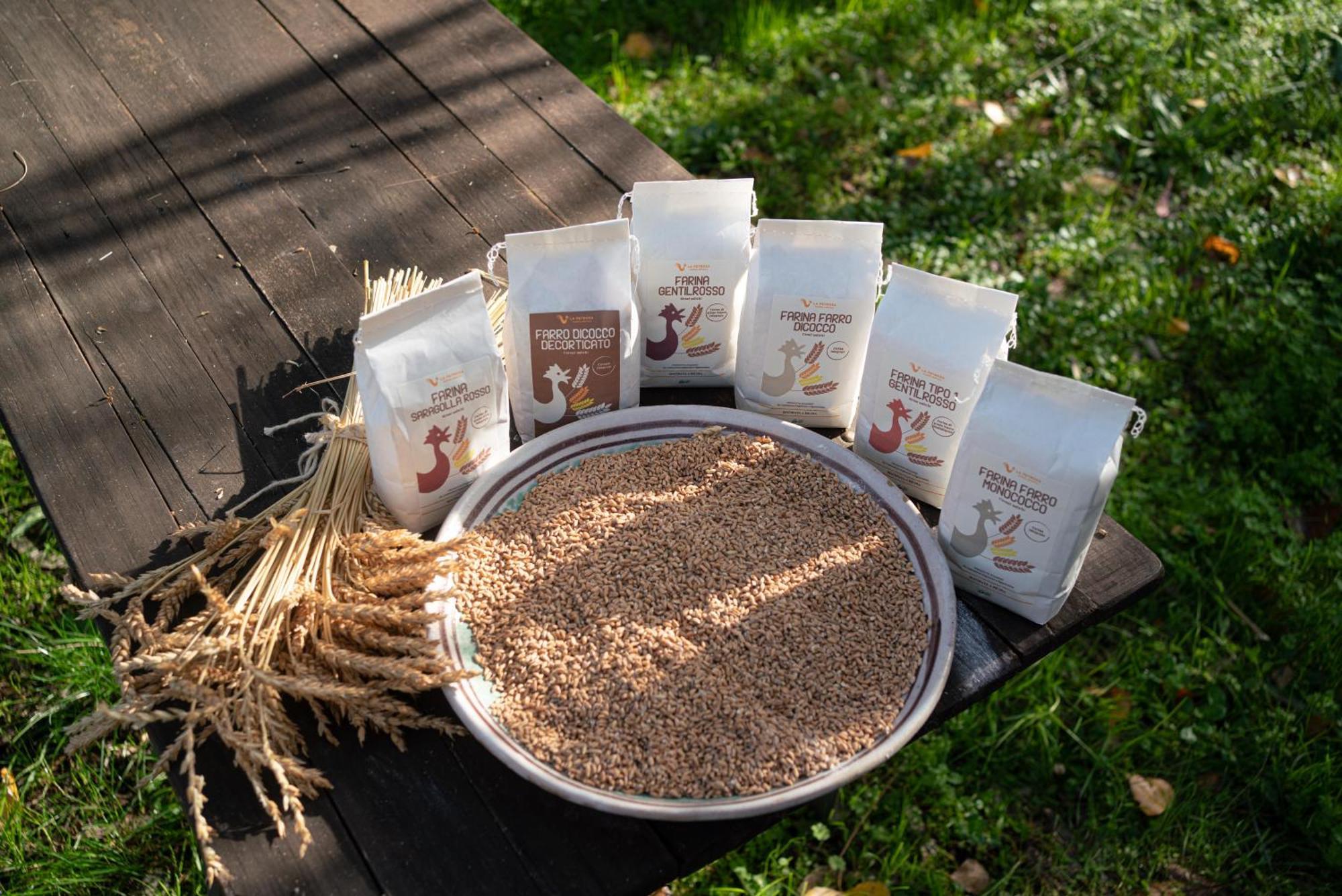 Agriturismo La Petrosa Ceraso المظهر الخارجي الصورة