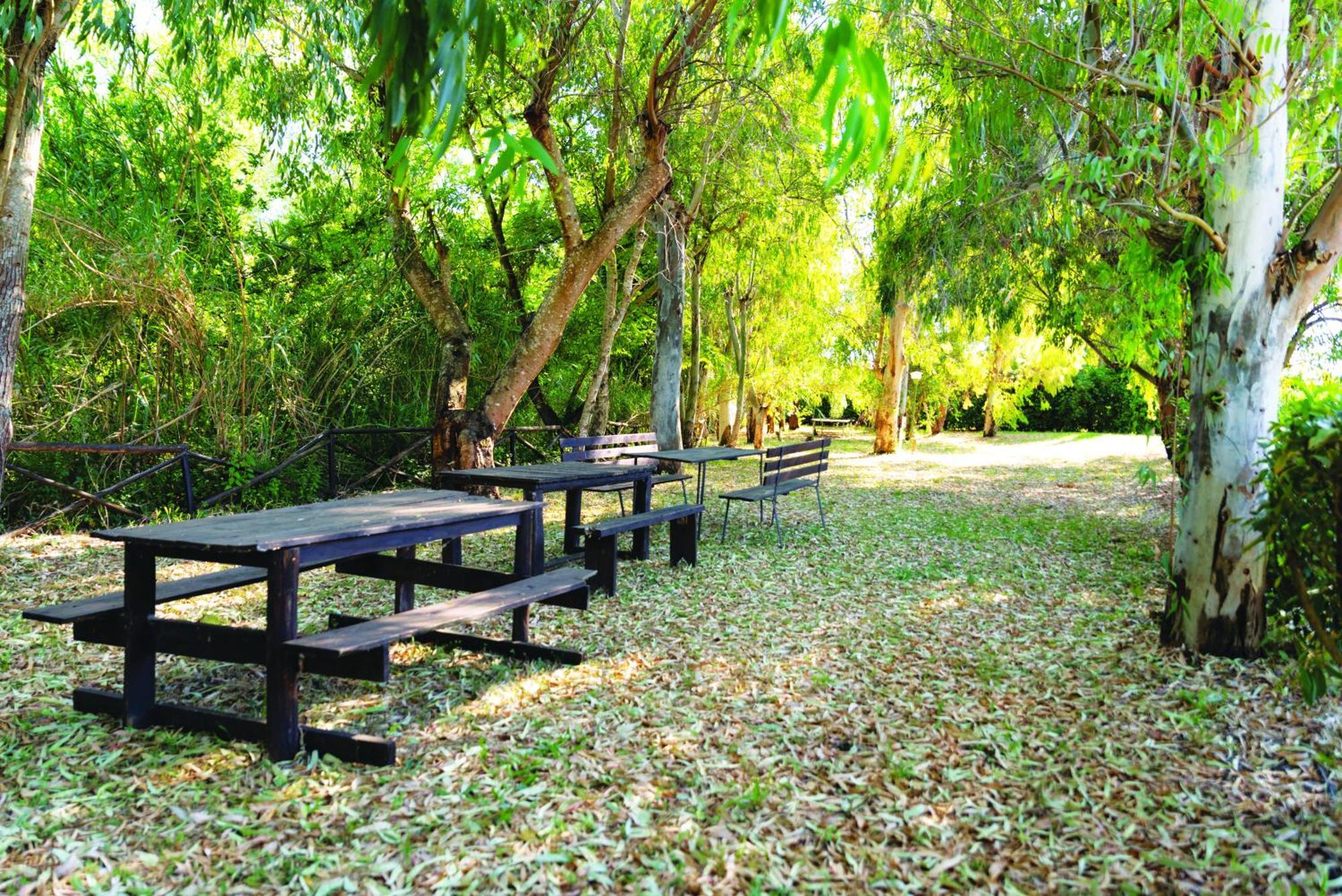 Agriturismo La Petrosa Ceraso المظهر الخارجي الصورة