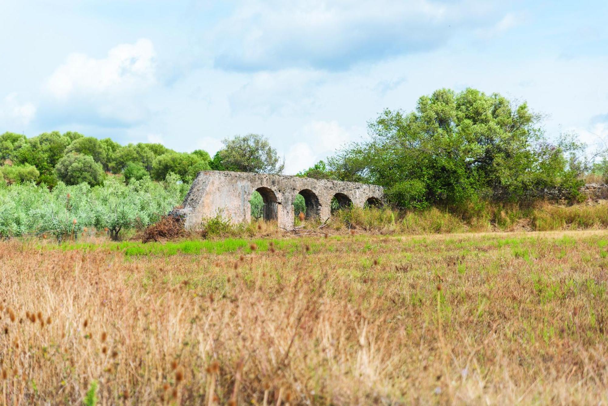 Agriturismo La Petrosa Ceraso المظهر الخارجي الصورة