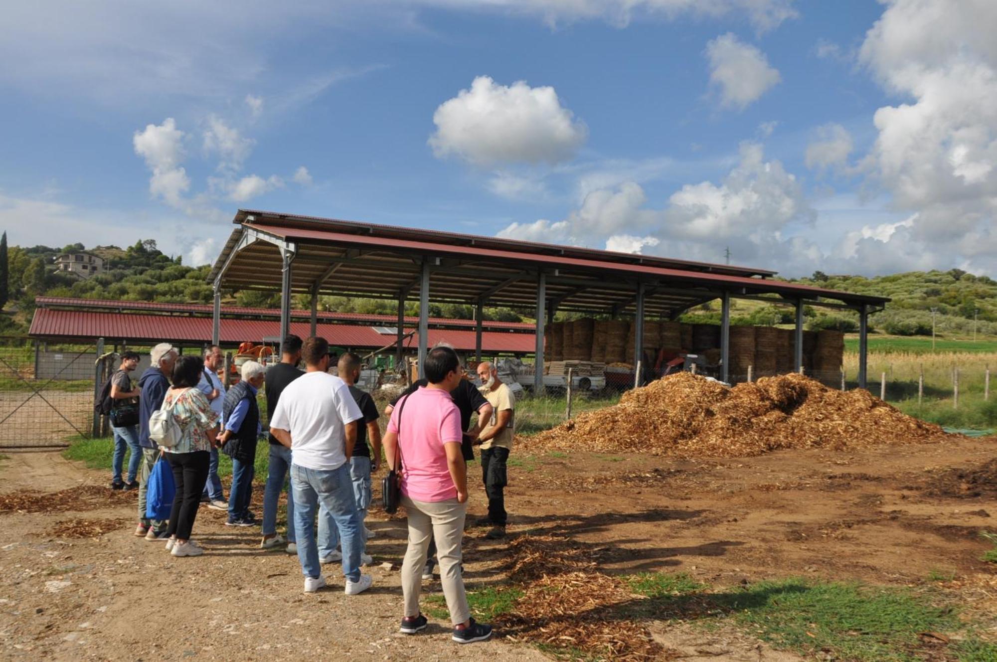 Agriturismo La Petrosa Ceraso المظهر الخارجي الصورة